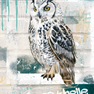 chouette des neiges la vie est belle inscrit en dessous style street art sur mur en brique