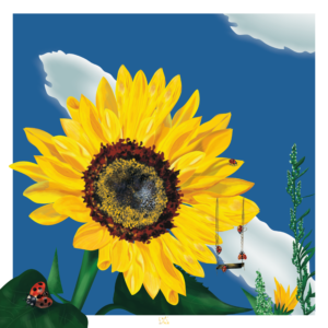 Illustration - Tournesol et coccinelles
