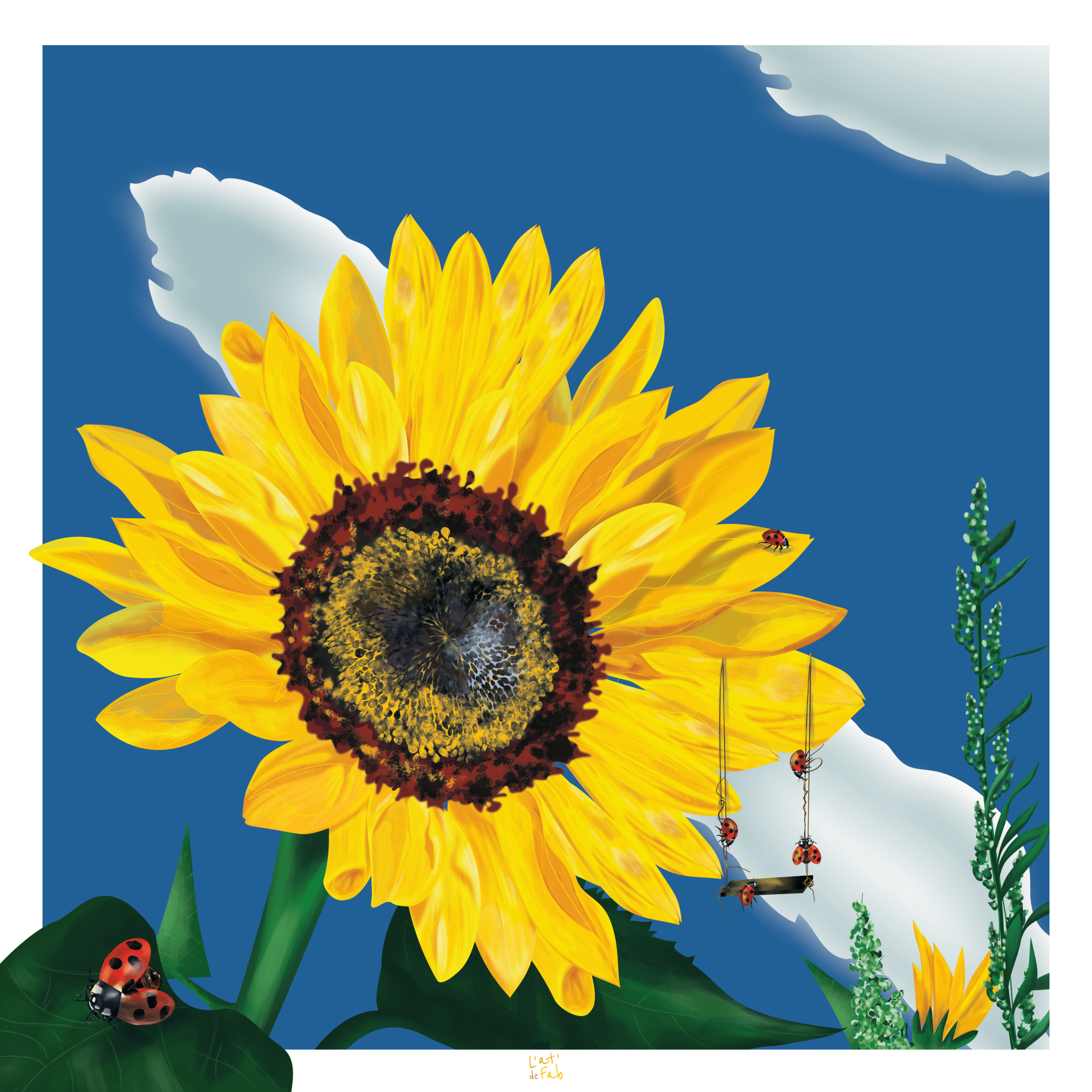 Illustration - Tournesol et coccinelles