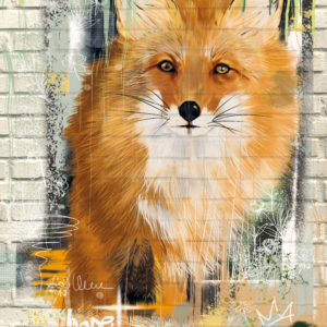 Illustration - Street Art - Le Renard